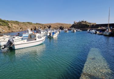 Randonnée Autre activité L'Île-d'Yeu - Vendée_Ile-d'Yeu_balade en Petit-Train - Photo