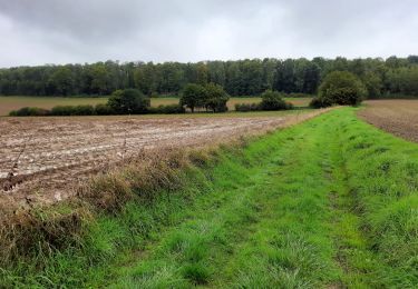 Tocht Stappen Tinlot - Ramelot 7 km - Photo