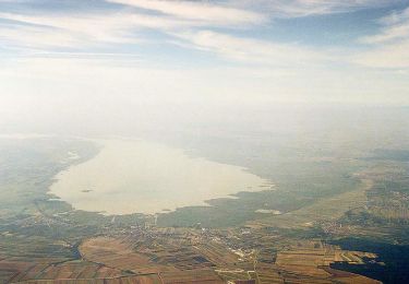 Percorso A piedi Gemeinde Neusiedl am See - Martalwaldweg - Photo