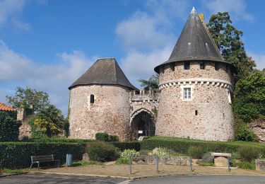 Excursión Bicicleta híbrida Orée-d'Anjou - R/ étape 6 de Champtoceaux à Nantes - Photo