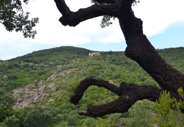 Excursión Senderismo Roquebrune-sur-Argens - Roquebrune sur Argent - Château de La Mère - Le Fournel - Photo