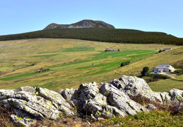 Trail Walking Borée - Boutieres_Mezenc - Photo