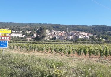 Randonnée Cyclotourisme Callas - 83 Var  Callas à St Aygulf J3/6 - Photo