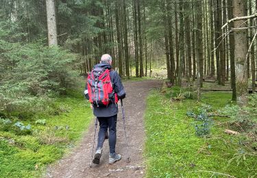 Tocht Noords wandelen Beaufort - GR5 E2 de Beaufort à Vianden - Photo