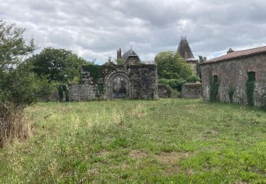 Tocht Stappen Mortagne-sur-Sèvre - Evrunes  - Photo