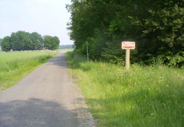 Randonnée A pied Hellendoorn - WNW Twente - Hellendoornseberg - rode route - Photo