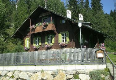 Tour Zu Fuß Krieglach - Peter Rosegger Rundwanderweg 2 (Alpl Waldheimat Rundwanderweg) - Photo