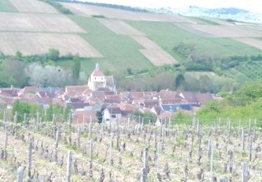 Randonnée Vélo électrique Auxerre - Jussy 01052023 - Photo