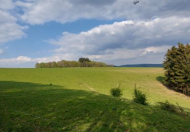 Tour Wandern La Roche-en-Ardenne - la roche - rendeux - la roche - Photo