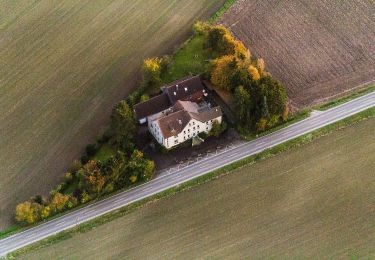 Tocht Te voet Billerbeck - Wanderweg Aulendorf A1 - Photo