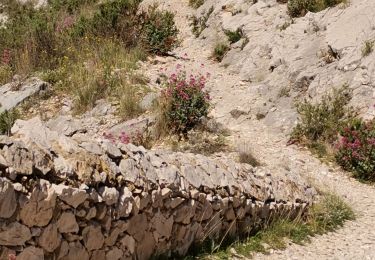 Percorso Mountainbike Le Rove - rove - Photo