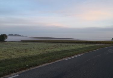 Trail Walking Ordonnac - Petit tour dans le vignoble Médocain - Photo