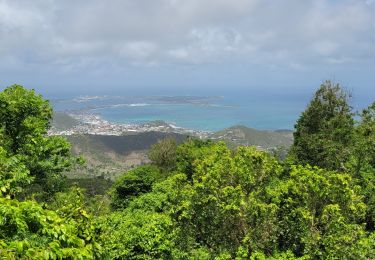 Tocht Stappen Sint Maarten (Frankrijk) - Pic Paradis -Saint Martin - Photo