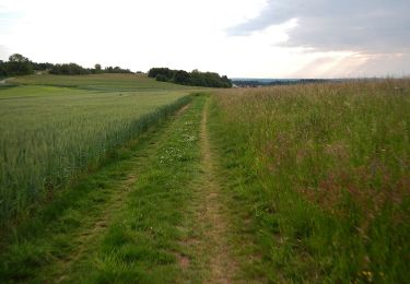 Trail On foot Simmozheim - Veigelesweg - Photo