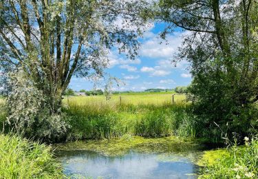 Trail Walking Deinze - La vallée de l’Oude Kale à Merendree - Photo