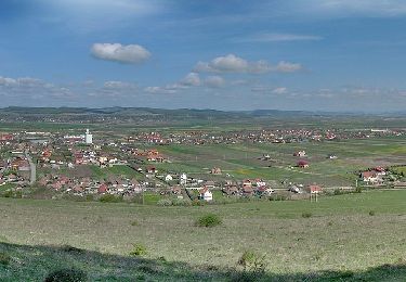 Randonnée A pied Târgu Mureș - Târgu Mureș (Platoul Cornești) - Dealul Nou - Sângeorgiu de Mureș - Photo