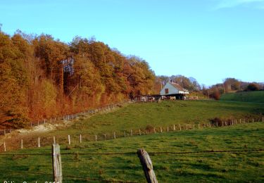 Percorso Marcia Val-au-Perche - Gémages - Le-Theil-sur-Huisne (Val-au-Perche) 9,3 km - Photo