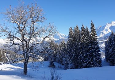 Randonnée Raquettes à neige Demi-Quartier - Montée chalet de la Vielle-Beauregard-la Ravine. Descente Fouettaz - Photo