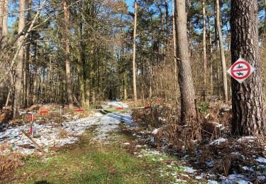 Percorso Marcia Gerpinnes - Bois de Scu - Photo