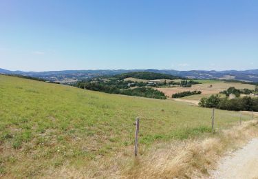 Trail Walking Saint-Sylvestre - St Sylvestre  Pt Romain 14km - Photo