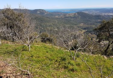 Trail Walking La Garde-Freinet - LA GARDE FREINET - PATRIMOINE DES MOULINS ET CHAPELLES - Photo