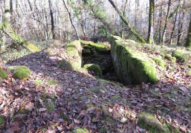 Trail Walking Noailhac - Noailhac- Dolmen et pierre gravée (départ de Noailhac) - Photo