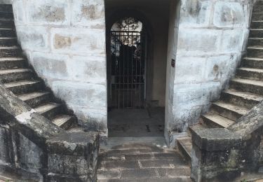 Tour Wandern Saône - grand Saône - Photo