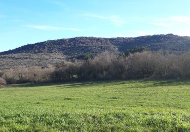 Tour Wandern Saint-Maurice-Navacelles - Cirque de Navacelle  - Photo