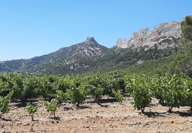 Tour Wandern La Roque-Alric - Dentelles de Mont Miraille - Photo