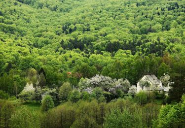 Randonnée A pied Jabłonica - Szlak Jabłonica - Liwocz - Czermna - Photo