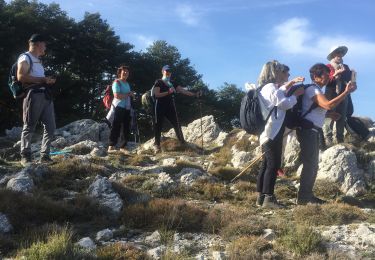 Tour Wandern Saint-Vallier-de-Thiey - Ferrier  - Photo