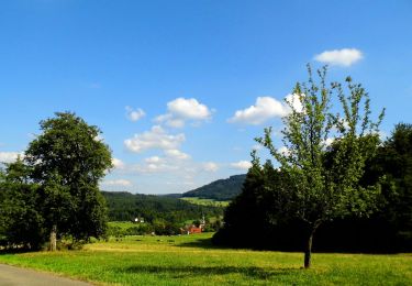 Tocht Te voet Gaggenau - Waldprechtsweier - Freiolsheim Waldparkplatz - Photo