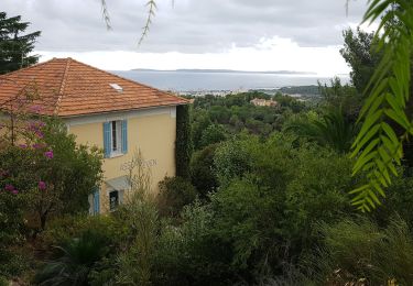 Tocht Stappen Le Lavandou - bormes - Photo