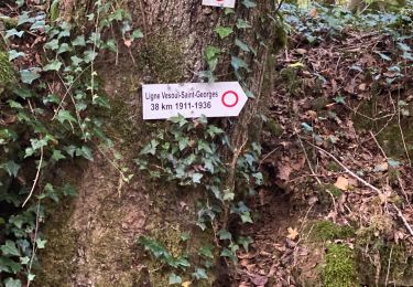 Trail Walking Noroy-le-Bourg - Les miroudot - Photo