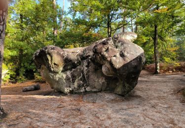 Tocht Stappen Fontainebleau - Barbison 24 octobre  2023 - Photo