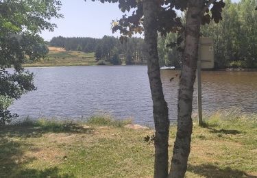 Tour Wandern Saint-Gal - Aux alentours du Lac de Ganivet  - Photo