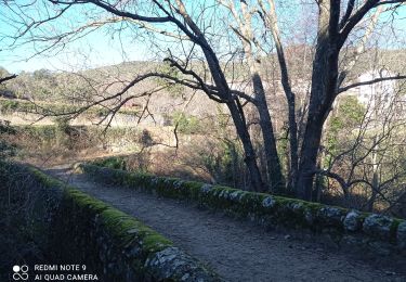 Tour Wandern Soudorgues - 30 le mauripe 12/01/25 - Photo