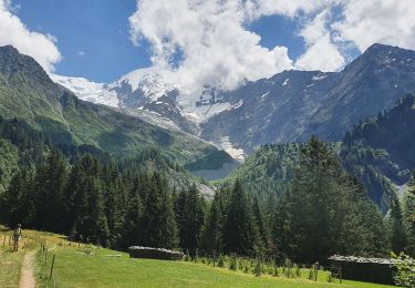 Trail Walking Saint-Gervais-les-Bains - La passerelle du glacier de Bionnassay - Photo