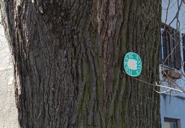 Tour Zu Fuß Gemeinde Kirchschlag - Schloßbergweg Kirchschlag - Habich (Richtung Hutwisch) - Photo