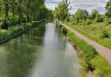 Percorso Marcia Peigney - lac du liez - Photo