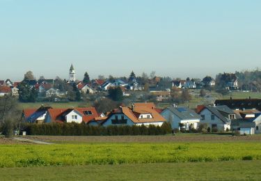 Tocht Te voet Pfalzgrafenweiler - Tour 1 Nordic Walking Weiler Wald - Photo