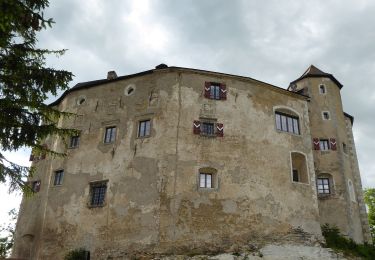 Tour Zu Fuß Gemeinde St. Georgen an der Leys - Voralpen Marathon - Photo