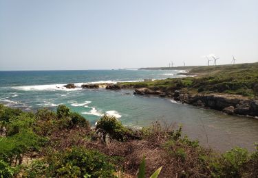 Percorso Marcia Saint-François - Anse à la Baie - Anse à l'Eau - Photo