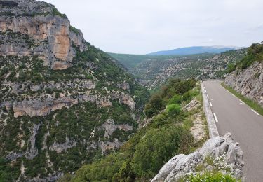 Trail Road bike Buis-les-Baronnies - Tour du mont Ventoux - Photo
