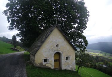 Percorso A piedi Falzes - Steine erzählen - Photo