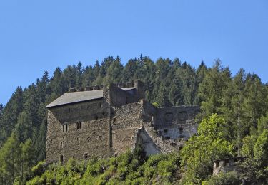 Tocht Te voet Unzmarkt-Frauenburg - Wanderweg Bocksruck - Photo