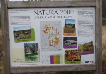 Trail Walking Monts-de-Randon - Truc de Fortunio et lac de Charpal - Photo