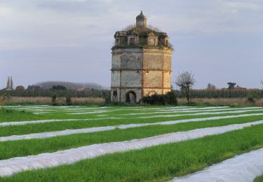 Tocht Te voet Moissac - Les Anciens Chemin de Halage - Photo