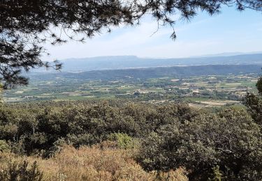 Randonnée Marche Cucuron - Cucuron Vaugines - Rocher de Curet - Photo