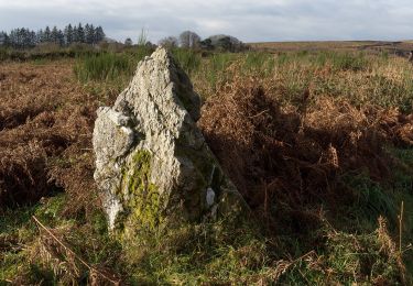 Randonnée A pied Saint-Rivoal - Landes et Tourbières - Photo